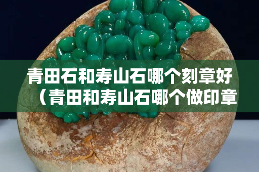 青田石和壽山石哪個(gè)刻章好（青田和壽山石哪個(gè)做印章好）