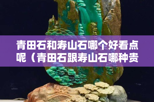 青田石和壽山石哪個好看點呢（青田石跟壽山石哪種貴）