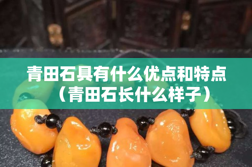 青田石具有什么優(yōu)點和特點（青田石長什么樣子）