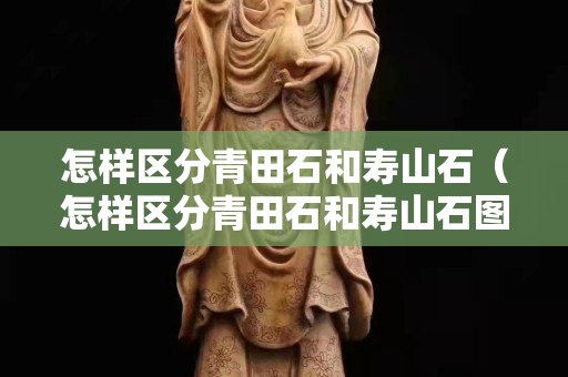 怎樣區(qū)分青田石和壽山石（怎樣區(qū)分青田石和壽山石圖片）