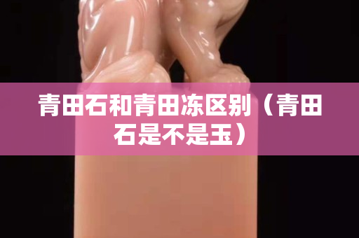 青田石和青田凍區別（青田石是不是玉）