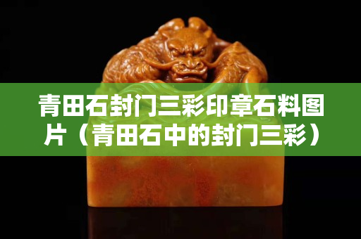 青田石封門三彩印章石料圖片（青田石中的封門三彩）