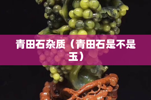 青田石雜質（青田石是不是玉）