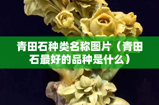 青田石種類名稱圖片（青田石最好的品種是什么）