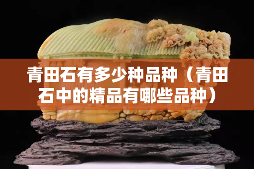 青田石有多少種品種（青田石中的精品有哪些品種）
