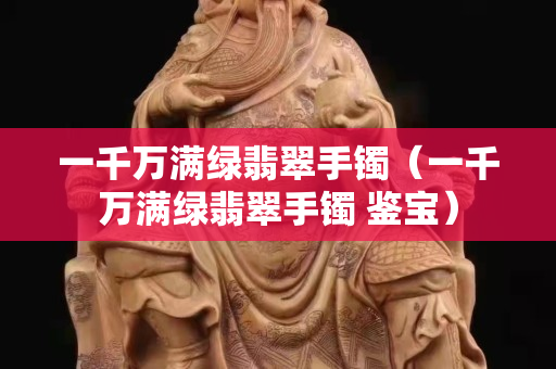 一千萬滿綠翡翠手鐲（一千萬滿綠翡翠手鐲 鑒寶）
