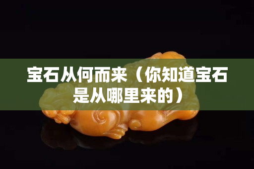 寶石從何而來（你知道寶石是從哪里來的）