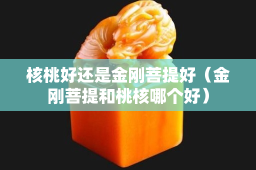 核桃好還是金剛菩提好（金剛菩提和桃核哪個好）
