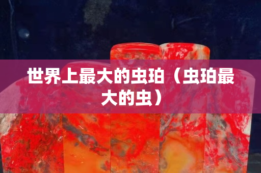 世界上最大的蟲珀（蟲珀最大的蟲）