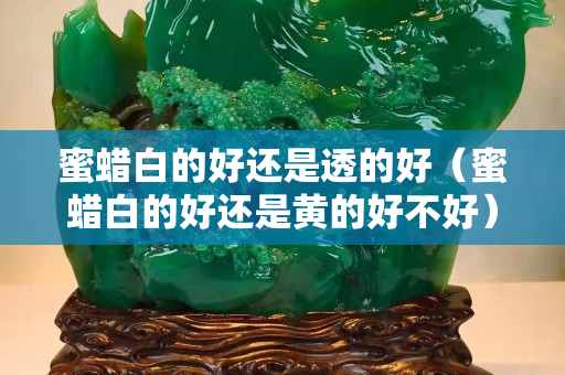 蜜蠟白的好還是透的好（蜜蠟白的好還是黃的好不好）