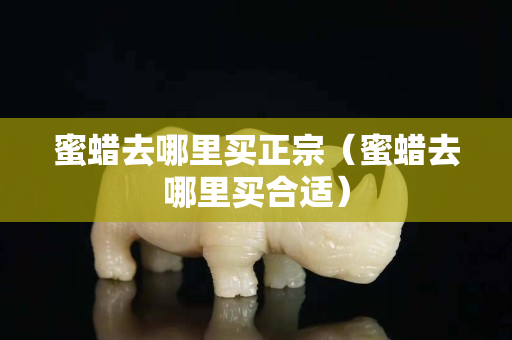 蜜蠟去哪里買正宗（蜜蠟去哪里買合適）
