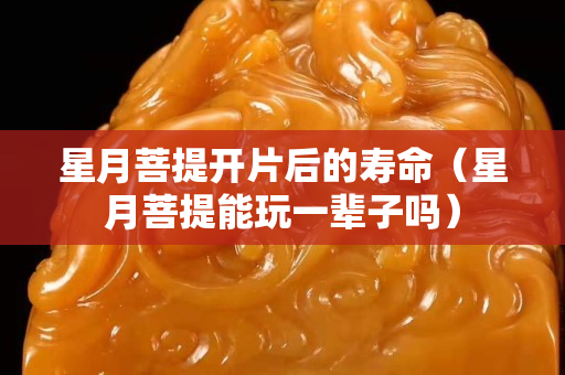 星月菩提開片后的壽命（星月菩提能玩一輩子嗎）