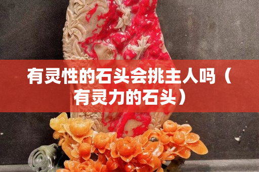 有靈性的石頭會(huì)挑主人嗎（有靈力的石頭）
