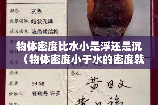 物體密度比水小是浮還是沉（物體密度小于水的密度就是漂浮嗎）
