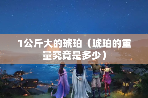 1公斤大的琥珀（琥珀的重量究竟是多少）
