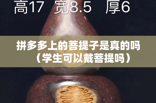 拼多多上的菩提子是真的嗎（學(xué)生可以戴菩提嗎）