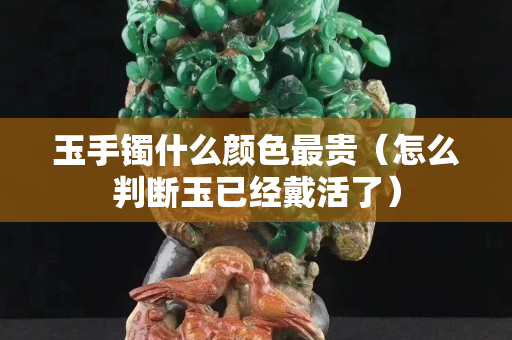 玉手鐲什么顏色最貴（怎么判斷玉已經戴活了）
