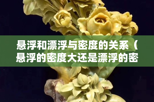 懸浮和漂浮與密度的關系（懸浮的密度大還是漂浮的密度大）
