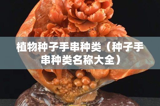 植物種子手串種類（種子手串種類名稱大全）