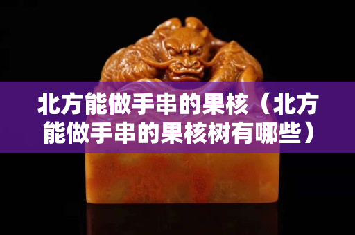 北方能做手串的果核（北方能做手串的果核樹有哪些）