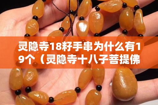 靈隱寺18籽手串為什么有19個（靈隱寺十八子菩提佛珠）