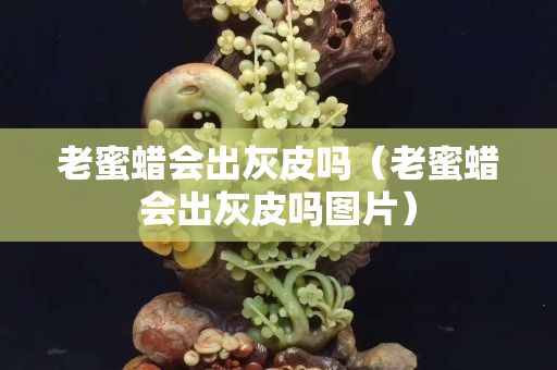 老蜜蠟會(huì)出灰皮嗎（老蜜蠟會(huì)出灰皮嗎圖片）