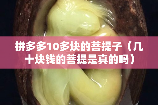 拼多多10多塊的菩提子（幾十塊錢的菩提是真的嗎）