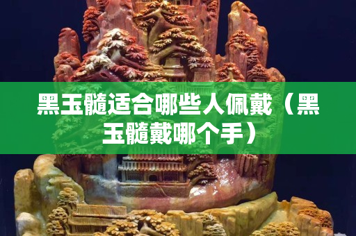 黑玉髓適合哪些人佩戴（黑玉髓戴哪個手）