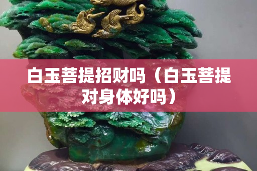 白玉菩提招財嗎（白玉菩提對身體好嗎）