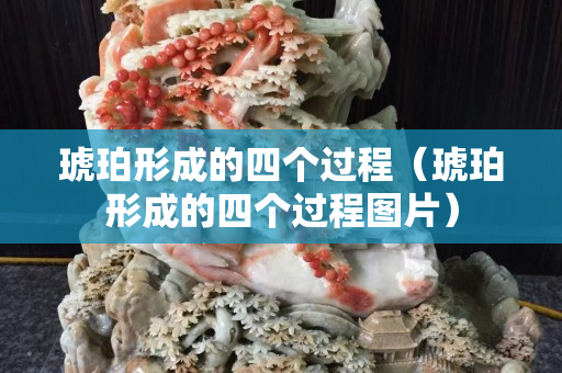 琥珀形成的四個過程（琥珀形成的四個過程圖片）