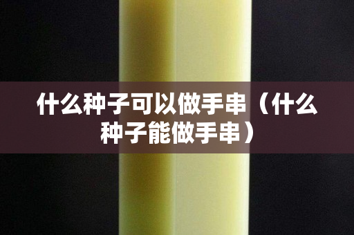 什么種子可以做手串（什么種子能做手串）