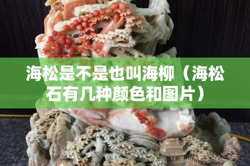 海松是不是也叫海柳（海松石有幾種顏色和圖片）