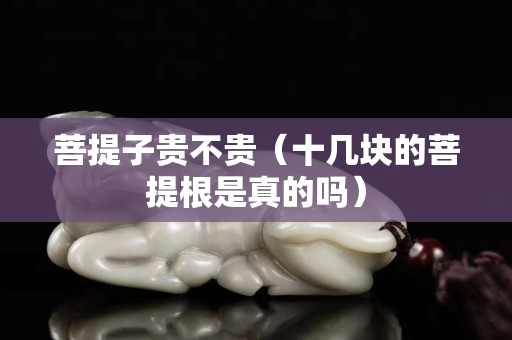 菩提子貴不貴（十幾塊的菩提根是真的嗎）