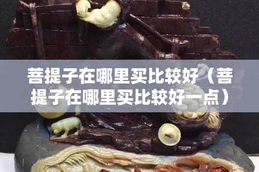 菩提子在哪里買(mǎi)比較好（菩提子在哪里買(mǎi)比較好一點(diǎn)）