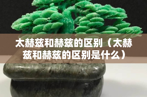 太赫茲和赫茲的區(qū)別（太赫茲和赫茲的區(qū)別是什么）