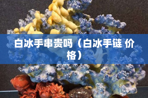 白冰手串貴嗎（白冰手鏈 價格）