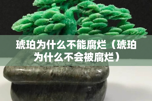 琥珀為什么不能腐爛（琥珀為什么不會被腐爛）