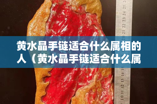 黃水晶手鏈適合什么屬相的人（黃水晶手鏈適合什么屬相的人佩戴）