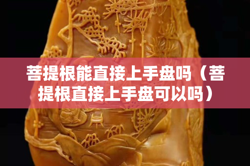 菩提根能直接上手盤嗎（菩提根直接上手盤可以嗎）