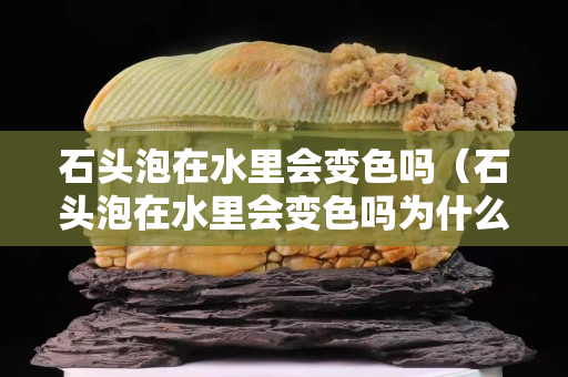 石頭泡在水里會變色嗎（石頭泡在水里會變色嗎為什么）