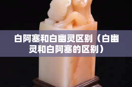 白阿塞和白幽靈區別（白幽靈和白阿塞的區別）