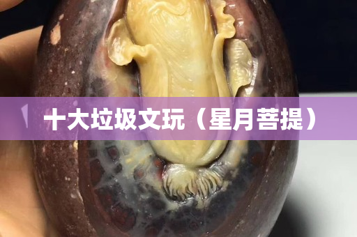 十大垃圾文玩（星月菩提）