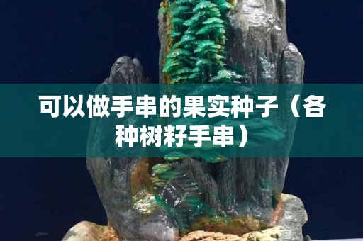 可以做手串的果實種子（各種樹籽手串）