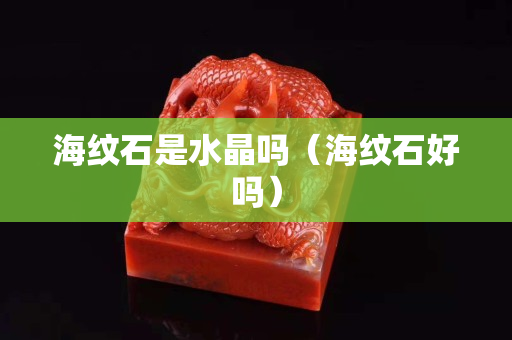 海紋石是水晶嗎（海紋石好嗎）