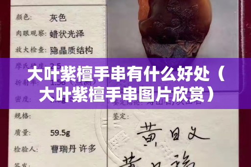 大葉紫檀手串有什么好處（大葉紫檀手串圖片欣賞）