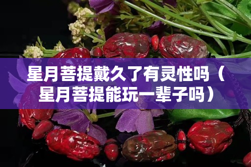 星月菩提戴久了有靈性嗎（星月菩提能玩一輩子嗎）