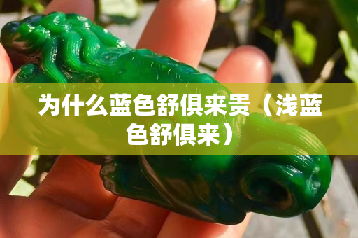 為什么藍色舒俱來貴（淺藍色舒俱來）