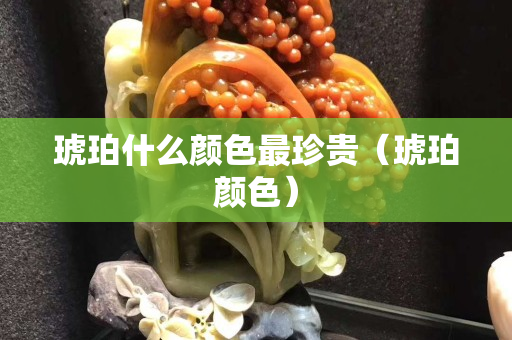 琥珀什么顏色最珍貴（琥珀顏色）