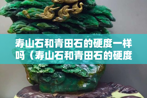 壽山石和青田石的硬度一樣嗎（壽山石和青田石的硬度一樣嗎圖片）
