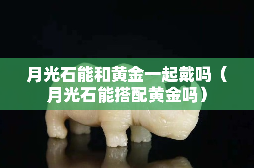 月光石能和黃金一起戴嗎（月光石能搭配黃金嗎）